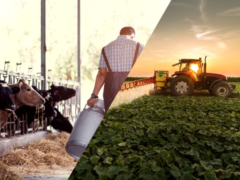 Política de incentivo à agricultura e à pecuária de precisão é sancionada no Senado