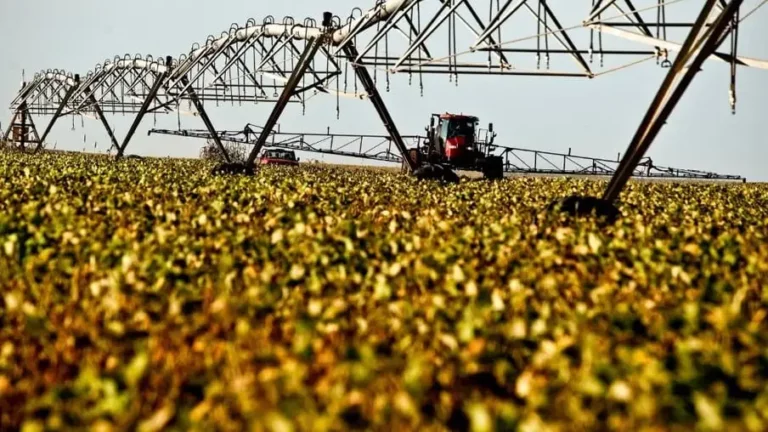 Veja o ranking das 100 cidades mais ricas do agronegócio no Brasil